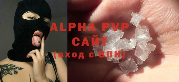 сатива Новодвинск