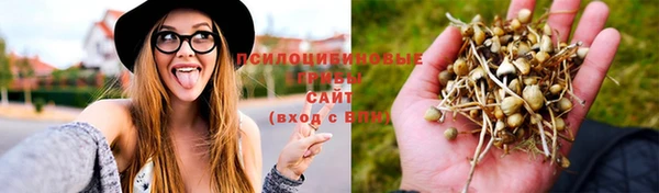 мяу мяу мука Нягань