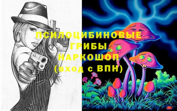 ALPHA-PVP Няндома