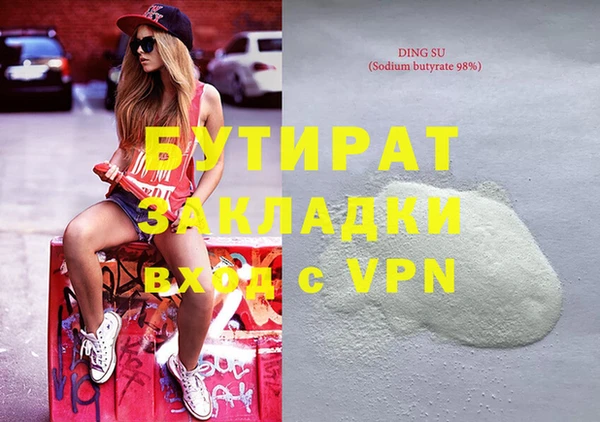 сатива Новозыбков