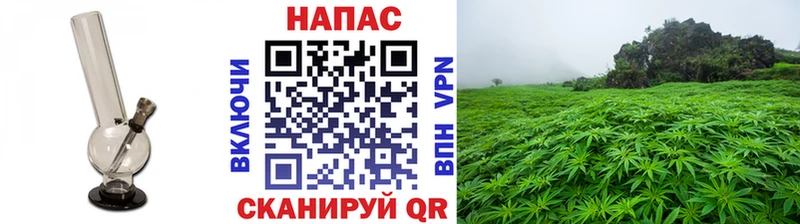 Бошки Шишки White Widow  Новое Девяткино 
